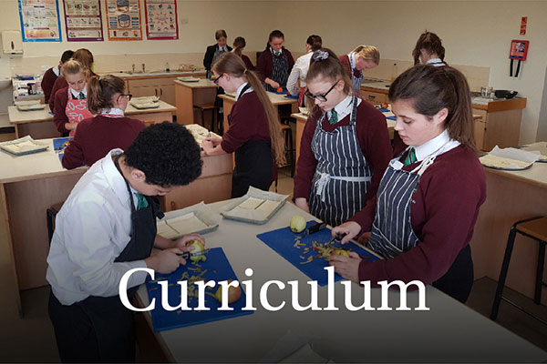Curriculum